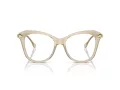 Swarovski SK 2012 3003 51 Women glasses