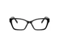 Swarovski SK 2013 1010 54 Women glasses