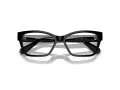 Swarovski SK 2013 1010 54 Women glasses