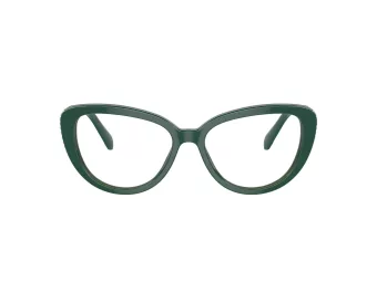 Swarovski SK 2014 1017 54 Women glasses