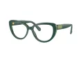 Swarovski SK 2014 1017 54 Women glasses