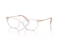Swarovski SK 2017 1027 52 Women glasses