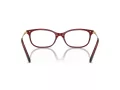 Swarovski SK 2017 1055 52 Women glasses
