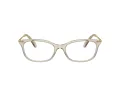 Swarovski SK 2017 3003 52 Women glasses