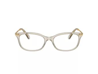 Swarovski SK 2017 3003 52 Women glasses