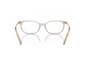 Swarovski SK 2017 3003 52 Women glasses
