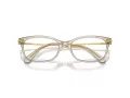 Swarovski SK 2017 3003 52 Women glasses