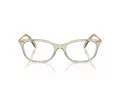 Swarovski SK 2017 3003 52 Women glasses