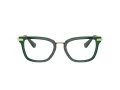 Swarovski SK 2018 1045 52 Women glasses