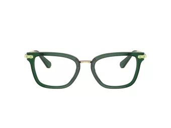 Swarovski SK 2018 1045 52 Women glasses