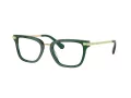 Swarovski SK 2018 1045 52 Women glasses