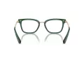 Swarovski SK 2018 1045 52 Women glasses