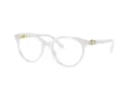 Swarovski SK 2019 1042 52 Women glasses