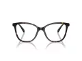 Swarovski SK 2020 1002 54 Women glasses