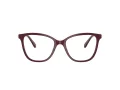 Swarovski SK 2020 1008 54 Women glasses