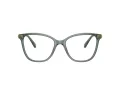 Swarovski SK 2020 1043 52 Women glasses