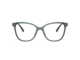 Swarovski SK 2020 1043 52 Women glasses