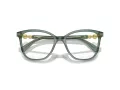 Swarovski SK 2020 1043 52 Women glasses