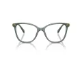 Swarovski SK 2020 1043 52 Women glasses