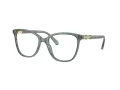 Swarovski SK 2020 1043 54 Women glasses