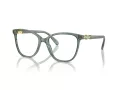 Swarovski SK 2020 1043 54 Women glasses