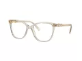 Swarovski SK 2020 3003 52 Women glasses