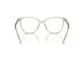 Swarovski SK 2020 3003 52 Women glasses