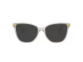 Swarovski SK 2020 3003 52 Women glasses