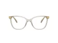 Swarovski SK 2020 3003 54 Women glasses