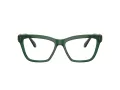 Swarovski SK 2021 1045 53 Women glasses