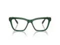 Swarovski SK 2021 1045 55 Women glasses