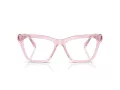 Swarovski SK 2021 3001 55 Women glasses