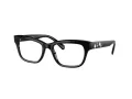 Swarovski SK 2022 1001 51 Women glasses