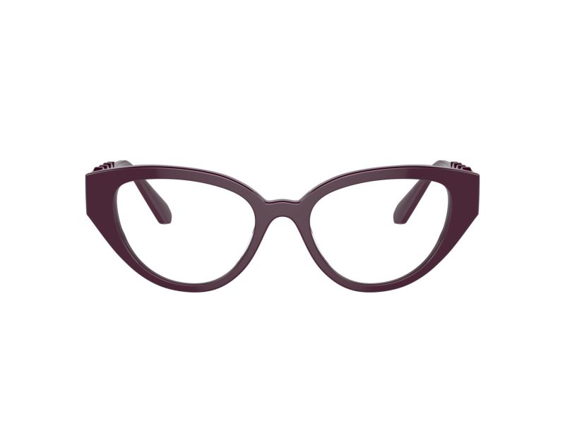 Swarovski SK 2024 1044 52 Women glasses