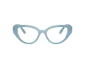 Swarovski SK 2024 2004 50 Women glasses