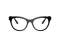 Swarovski SK 2025 1001 54 Women glasses