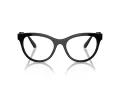 Swarovski SK 2025 1001 54 Women glasses