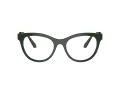 Swarovski SK 2025 1026 52 Women glasses