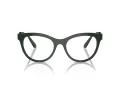 Swarovski SK 2025 1026 52 Women glasses