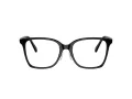 Swarovski SK 2026D 1001 54 Women glasses