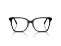 Swarovski SK 2026D 1001 54 Women glasses