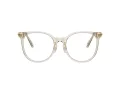 Swarovski SK 2027D 3003 53 Women glasses