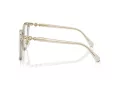 Swarovski SK 2027D 3003 53 Women glasses