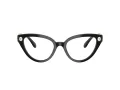 Swarovski SK 2028 1001 53 Women glasses
