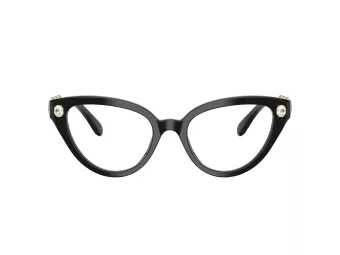 Swarovski SK 2028 1001 53 Women glasses