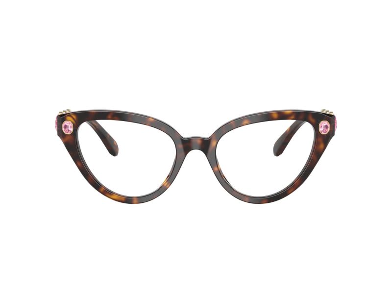 Swarovski SK 2028 1002 53 Women glasses