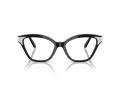 Swarovski SK 2029 1001 54 Women glasses
