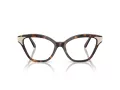 Swarovski SK 2029 1002 52 Women glasses