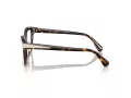 Swarovski SK 2029 1002 52 Women glasses