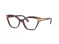 Swarovski SK 2029 1008 52 Women glasses
